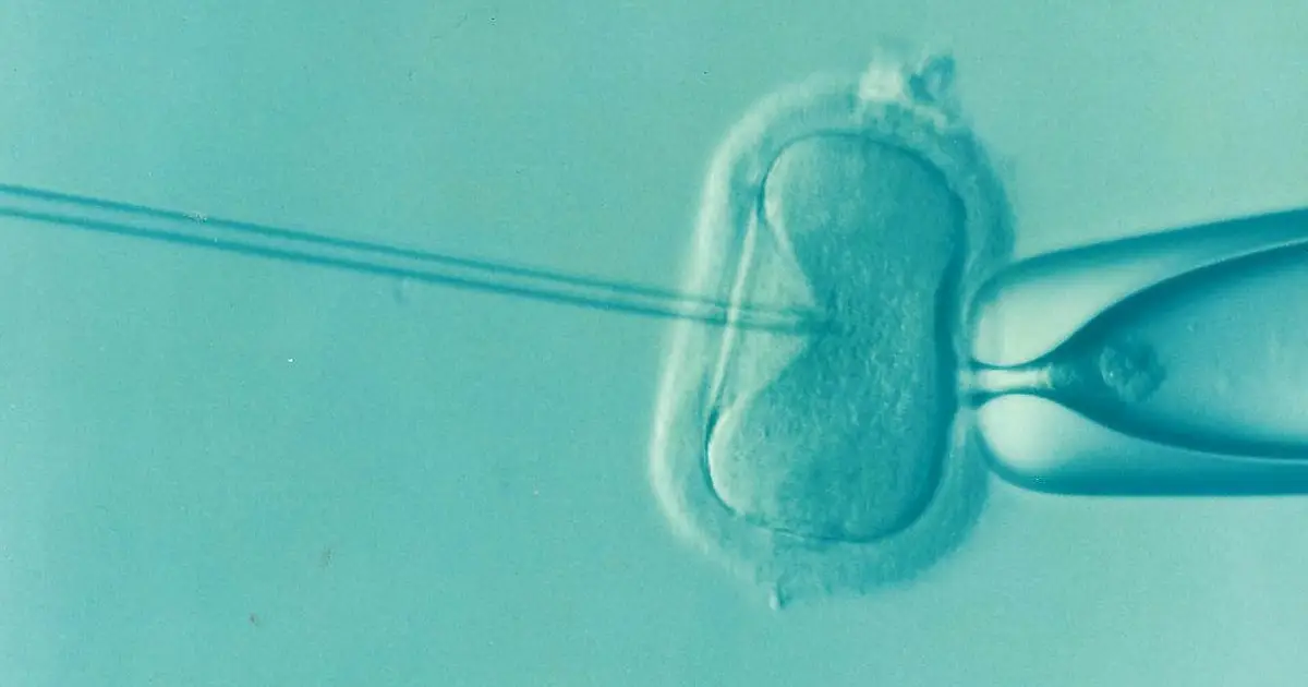 No clear evidence that common embryo transfer techniques improve IVF success