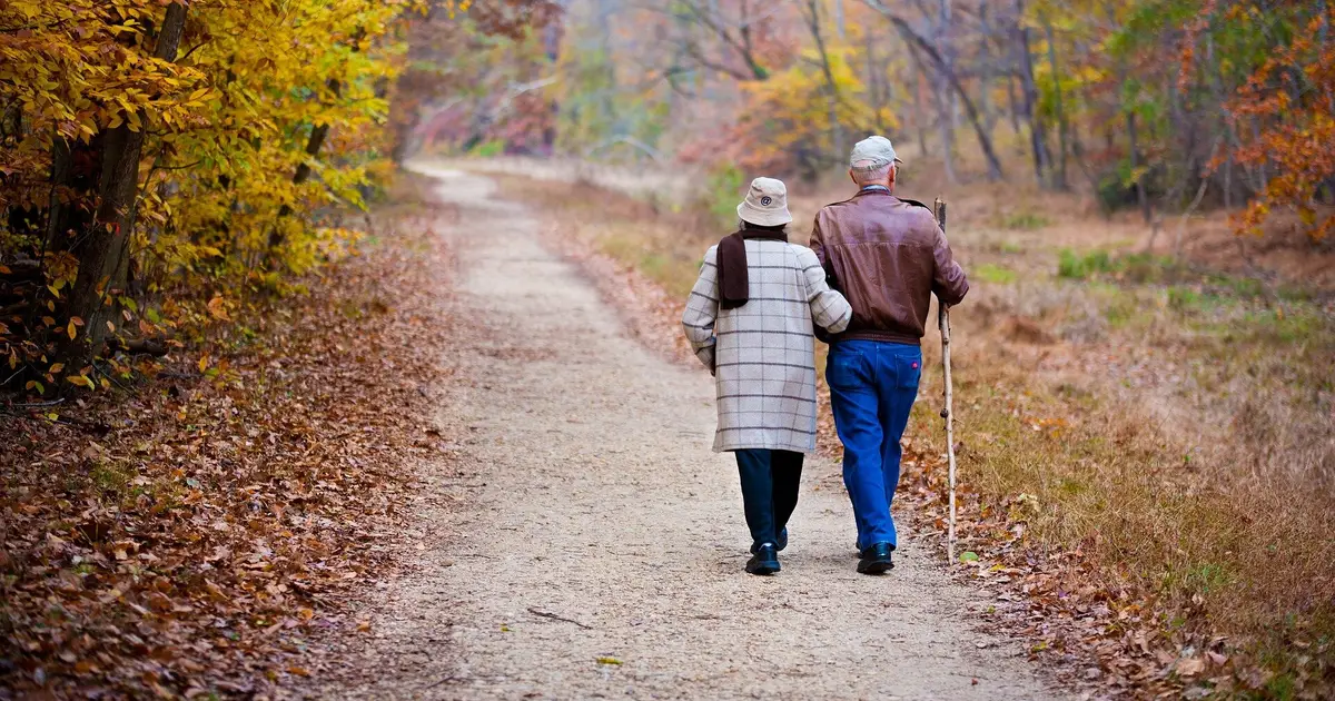 Exercise improves hip arthritis pain and function, but gains may be too small
