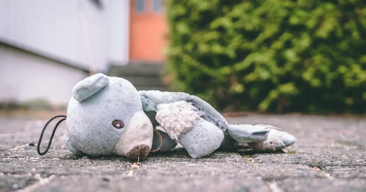 End of COVID-era SNAP emergency food assistance linked to increased child maltreatment rates
