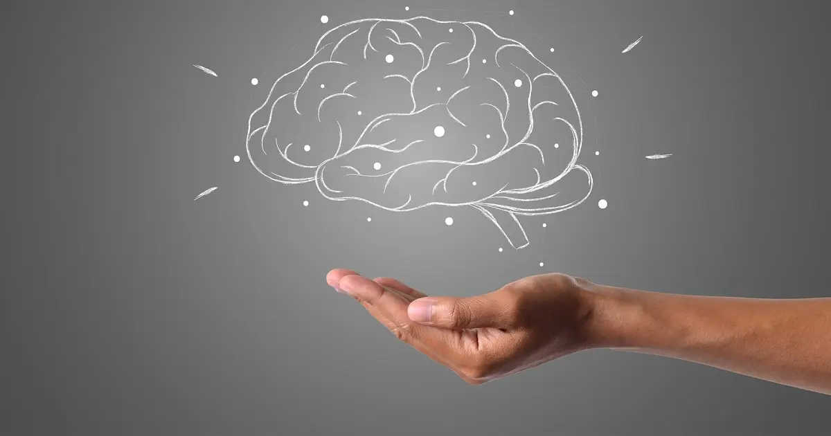 Researchers reveal the unique 'tagging' mechanism that guides the sleeping brain in remembering key thoughts
