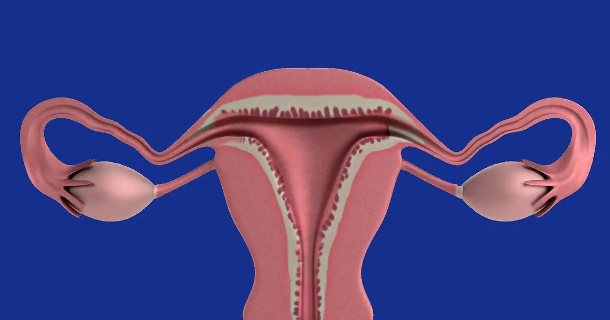 Uterine aging linked to poorer pregnancy outcomes after 49 despite donor eggs