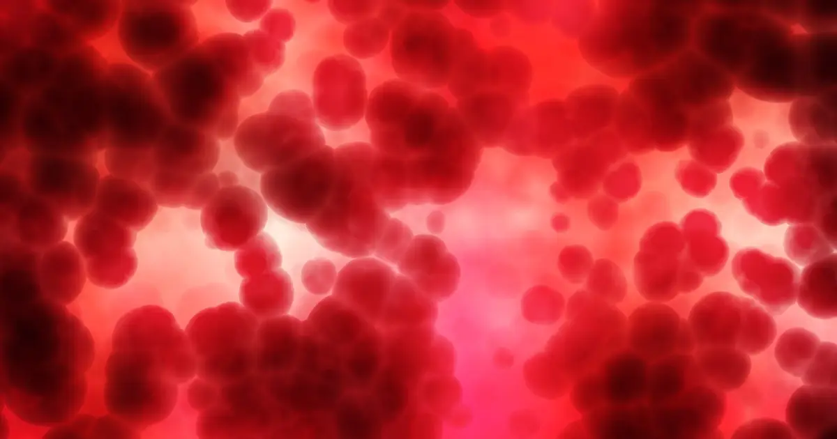 Blood cancer study links blood formation and bone health