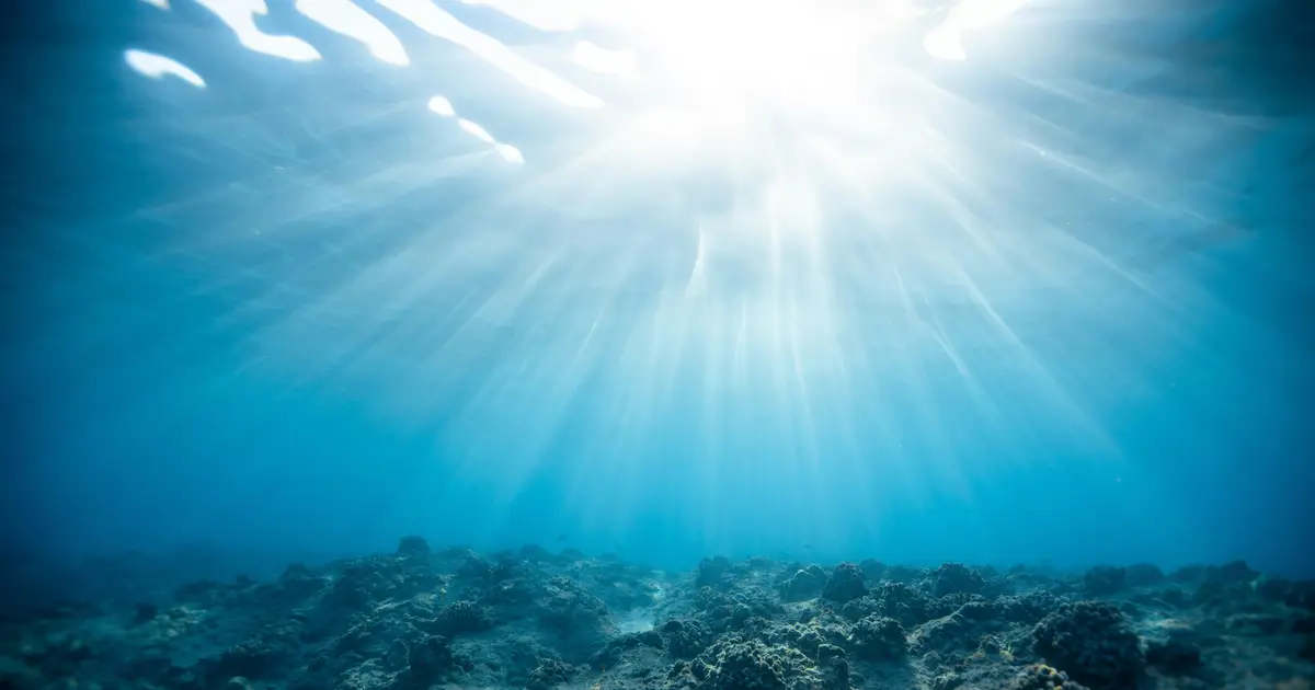 In deep oceans, evolution is supercharged. This diversity could help unlock humanity's greatest challenges