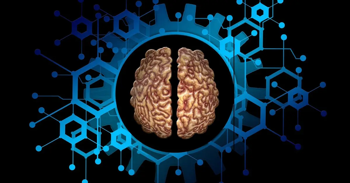 Video games in MRI scanners aim to map brains as they predict and adapt