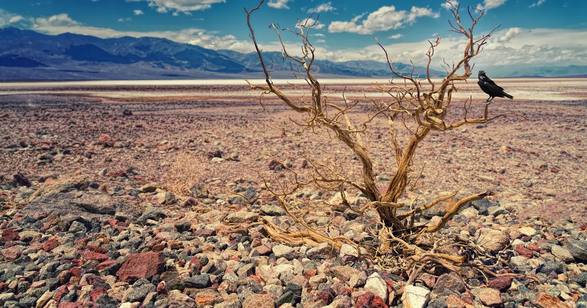 New scenarios needed to address climate crisis, say scientists