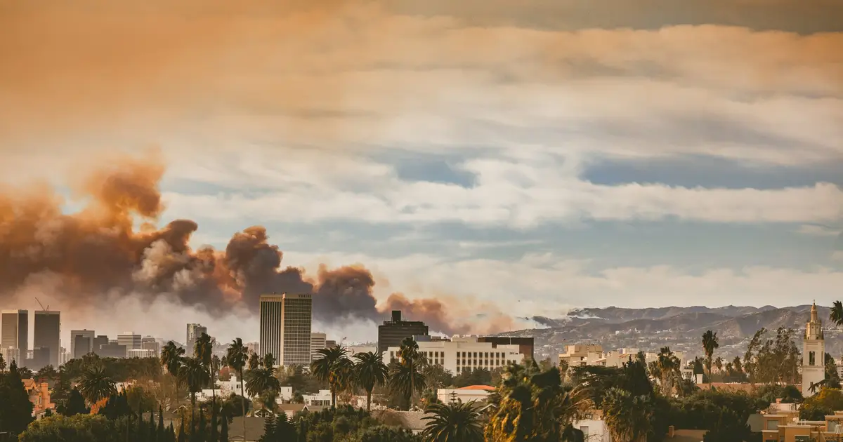 After the Palisades and Eaton fires, research offers new answers for communities as they rebuild