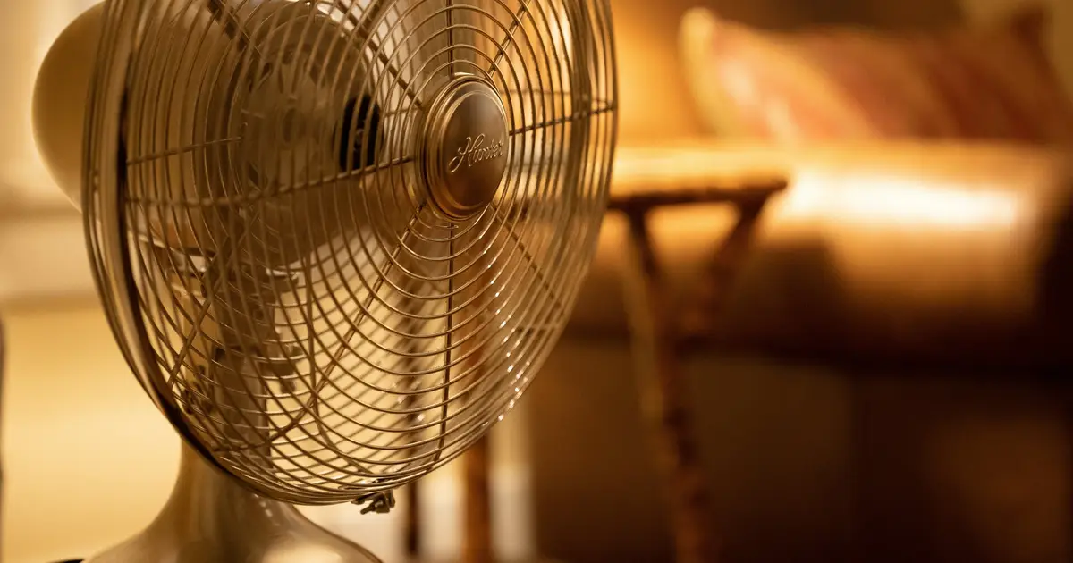 New guidance outlines how to protect people living with heart disease during heat waves