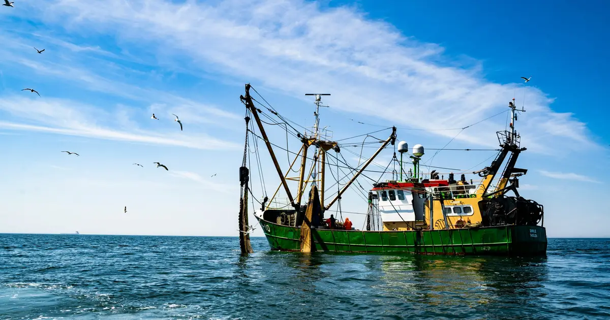 A climate resilience strategy to strengthen US seafood competitiveness