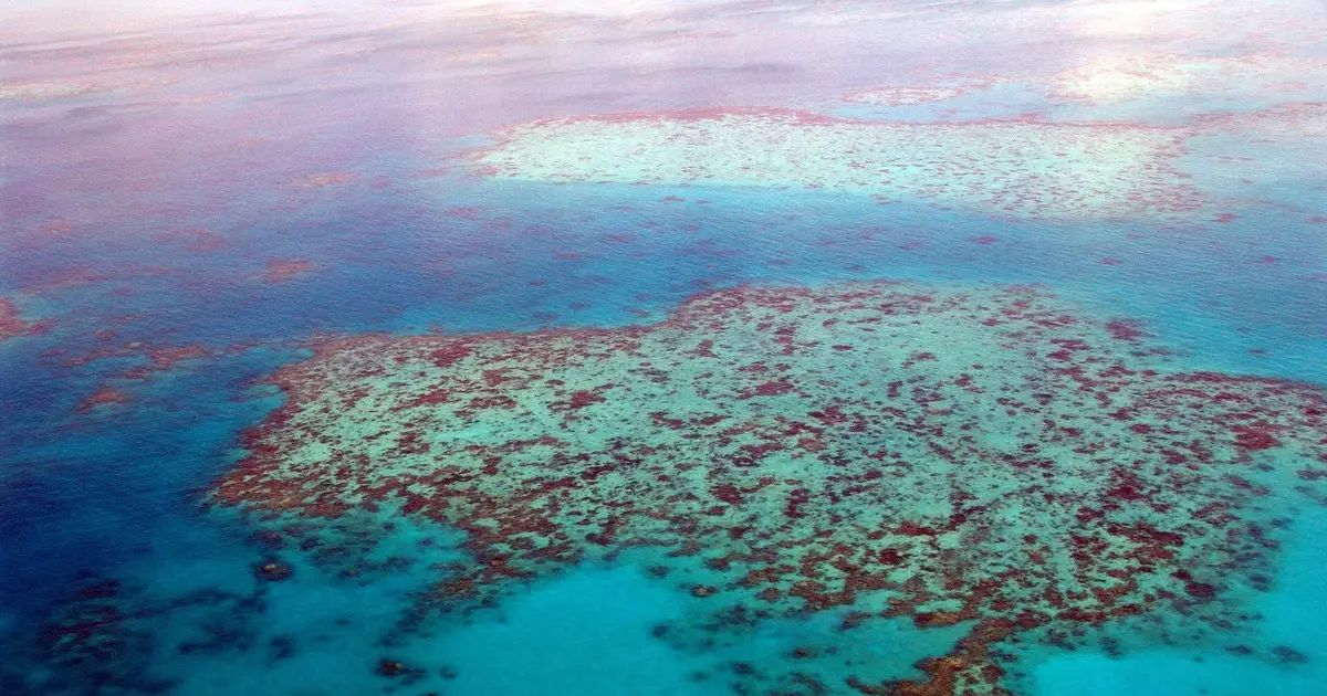 We finally have some encouraging news on Great Barrier Reef water quality