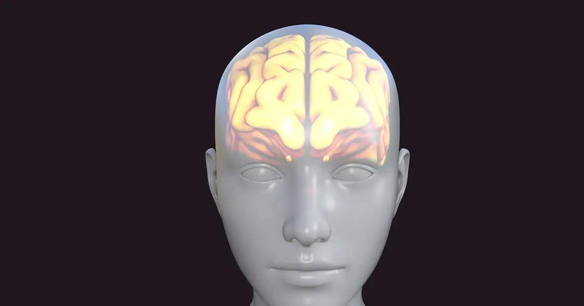 Designing supramolecular therapies to cross the blood-brain barrier