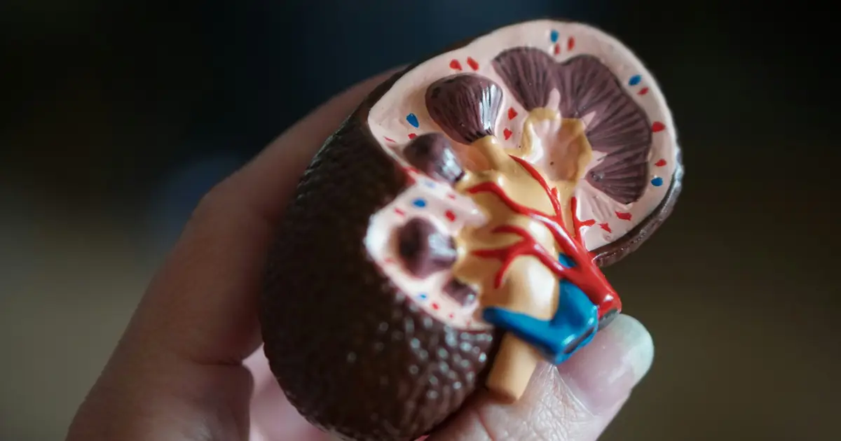 Kidney-sparing embolization reduces patients' risk of acute injury and death compared to surgery