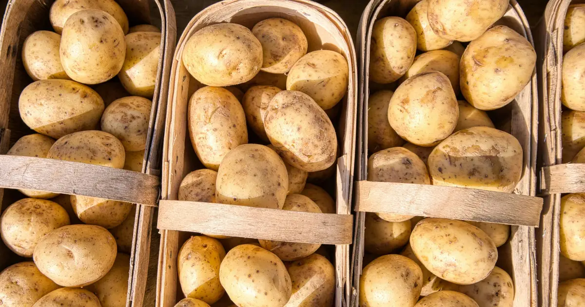 Five foods that could cost even more this winter—and why