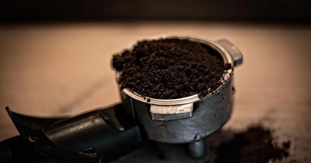 Spent coffee grounds reveal a route to biodiesel and other bio-based products