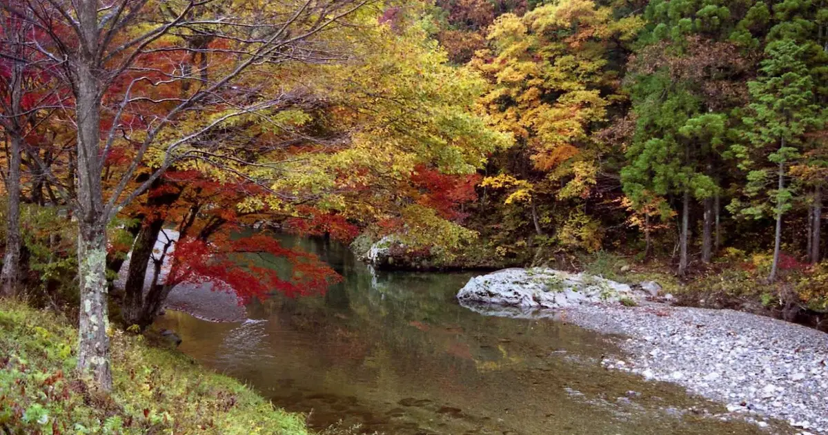 HydroGraphNet boosts watershed predictions of daily flow and nitrogen in sparse data regions