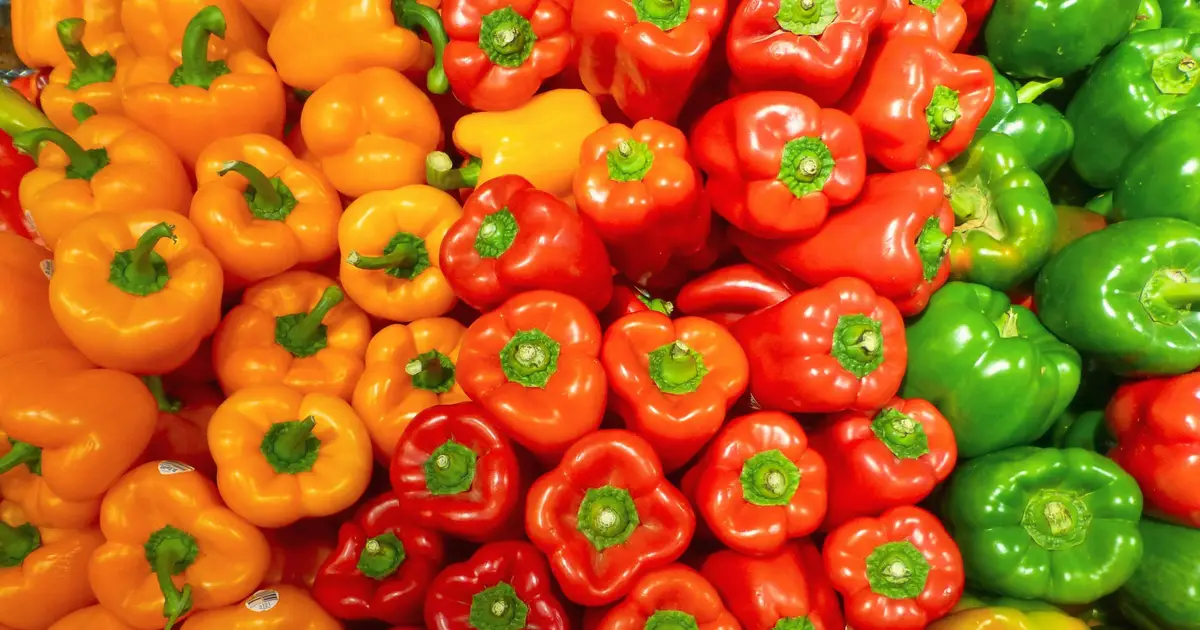 Bell pepper colors reveal differences in sweetness, nutrients and ripeness