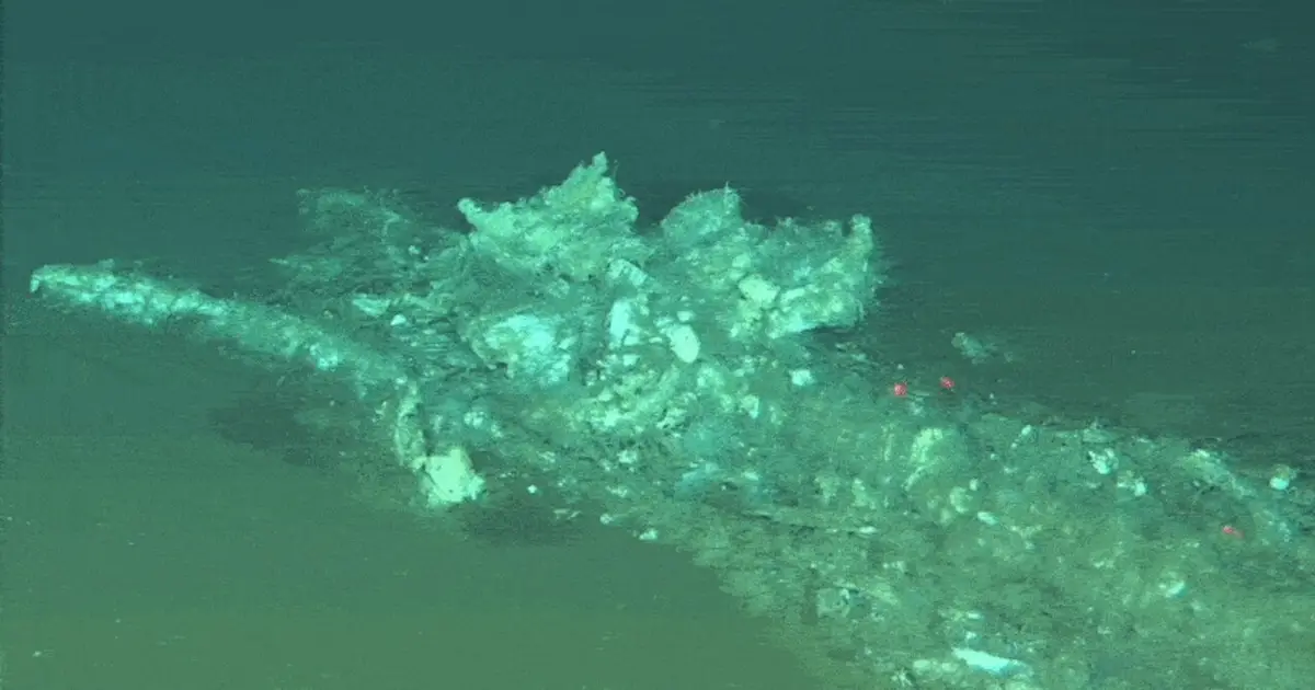 A 5.3-million‑year‑old whale graveyard has been found on the floor of the Indian Ocean
