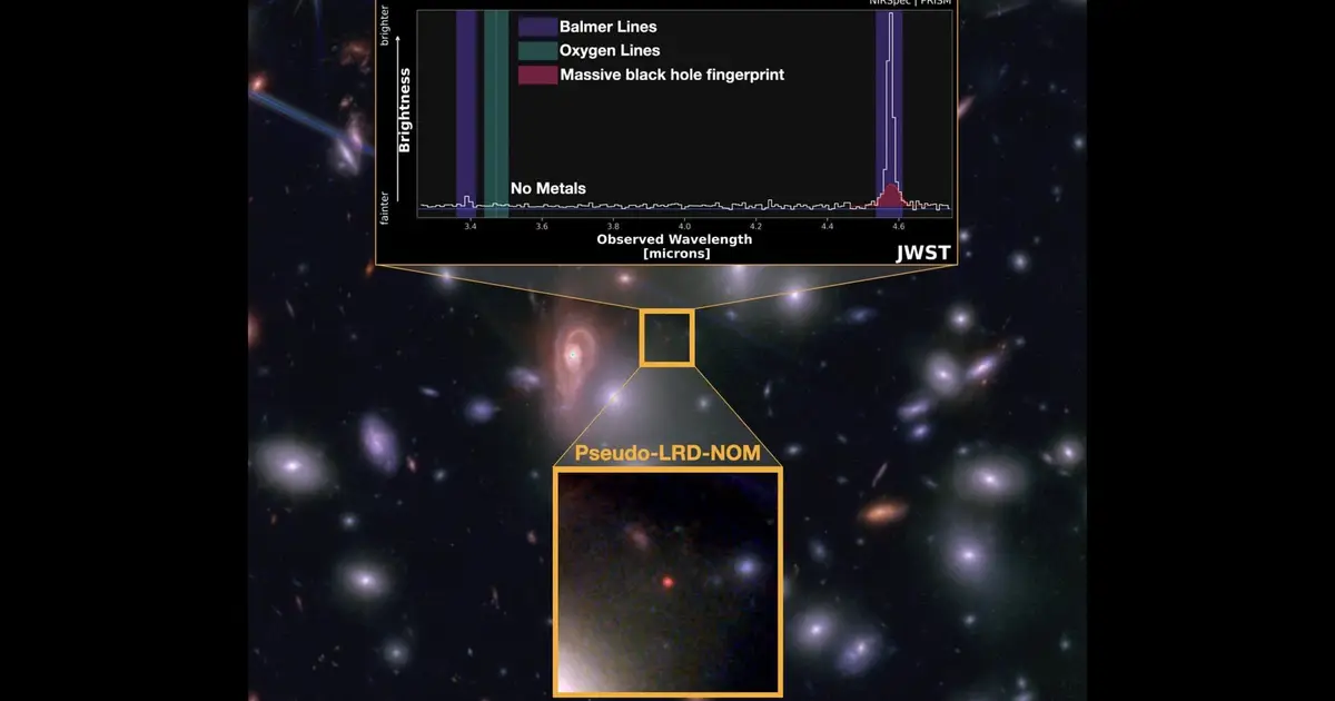 A distant primordial object may be a newborn 'Little Red Dot'