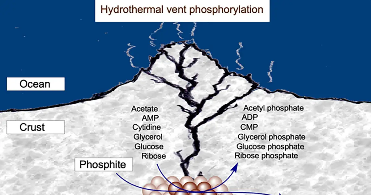 Hydrothermal vents supply a geochemical precursor of ATP that could have powered early life