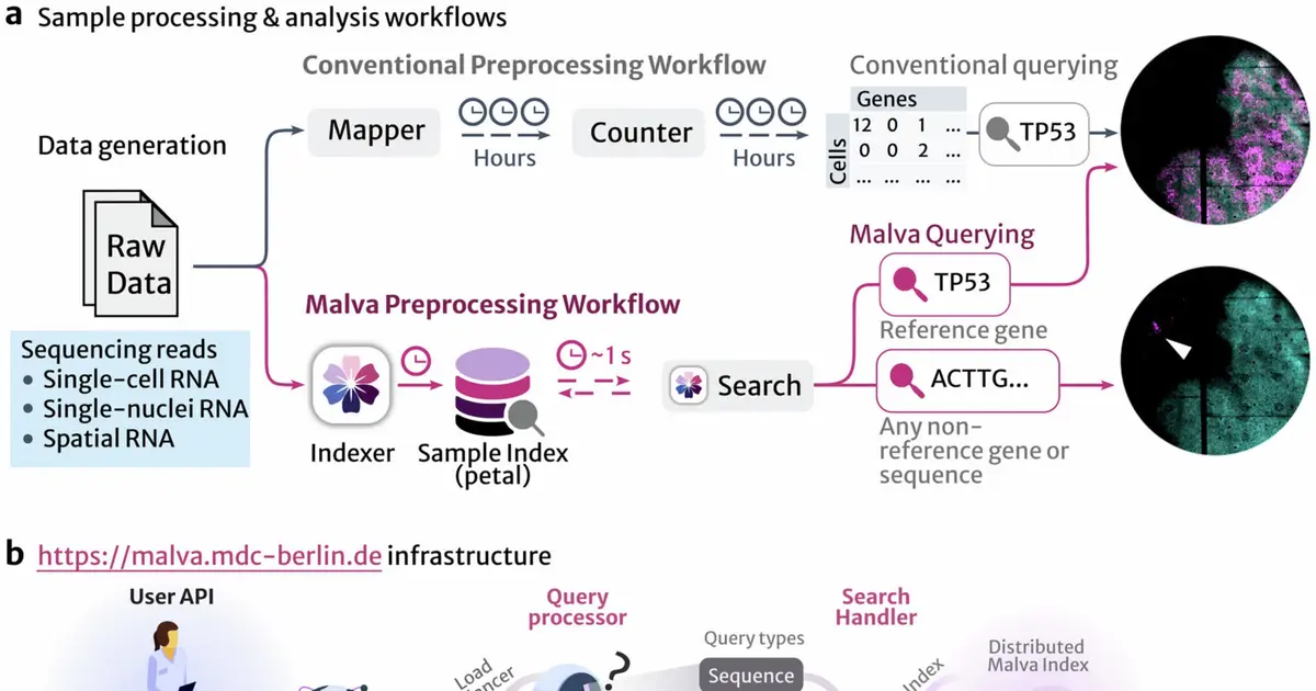 A Google-like search engine for single-cell RNA data could answer previously impossible questions