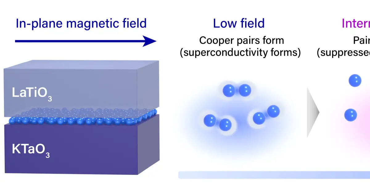 A magnetic field that kills superconductivity can also bring it back