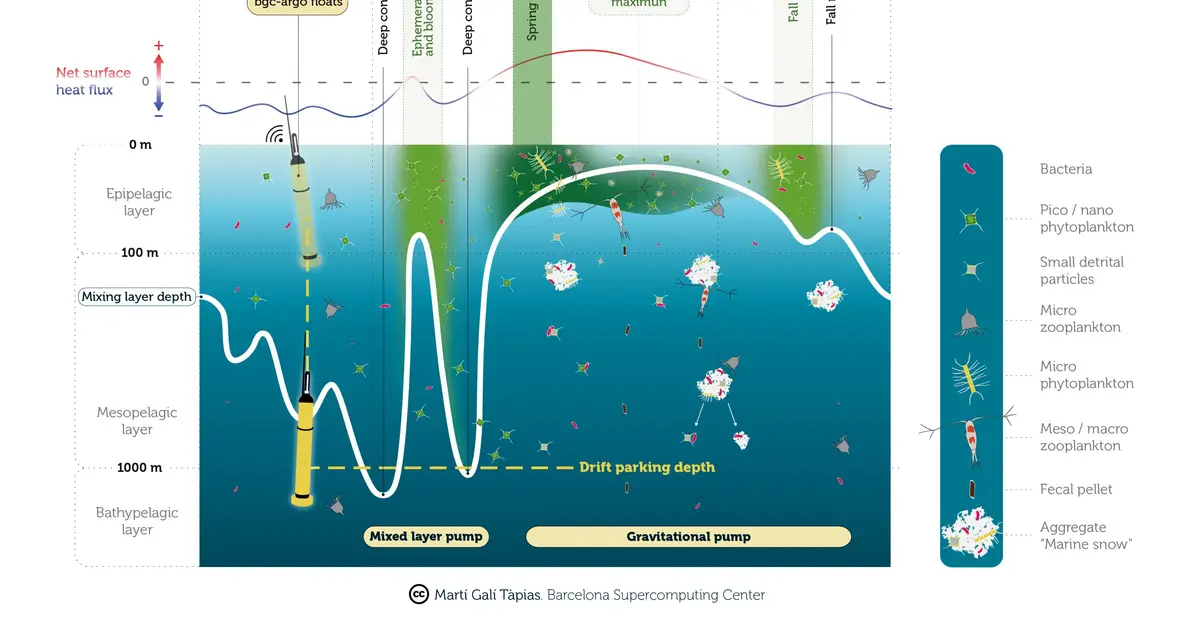 Mechanical shortcut' rapidly carries organic particles into the deep ocean