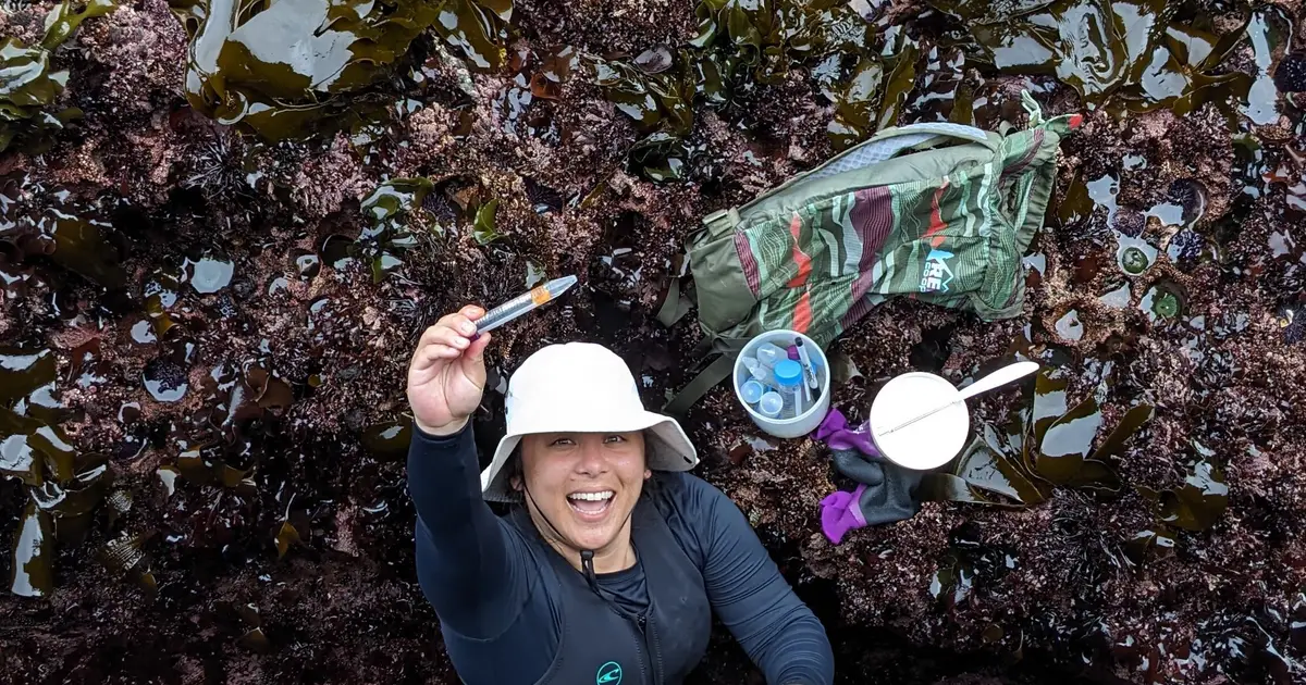Marine biologists discover new plankton off Oregon coast