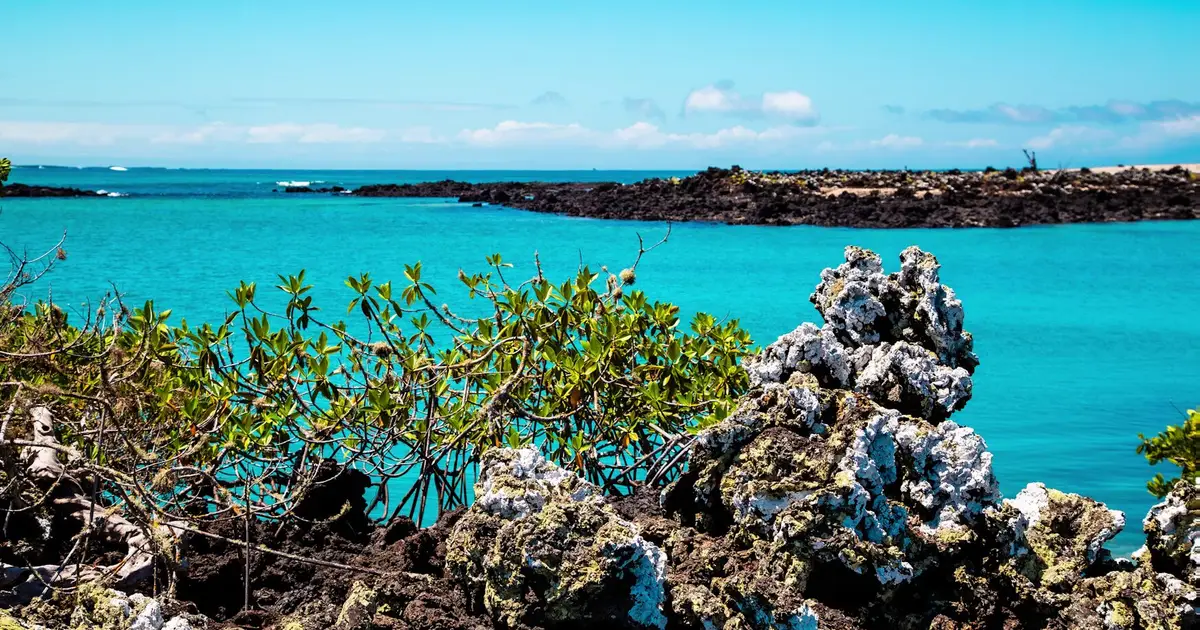 Zoned tourist vessel routes could curb invasive marine pests across Galápagos Islands