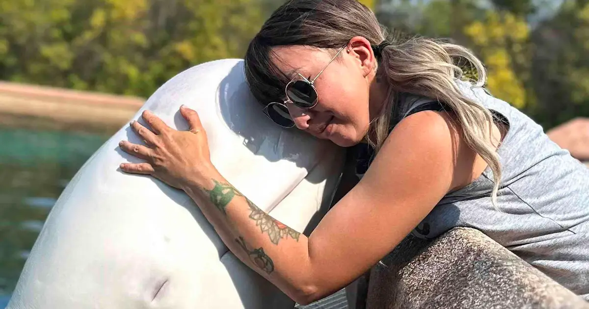 Finding homes for whales and dolphins when parks close isn't easy—sea sanctuaries aren't the answer