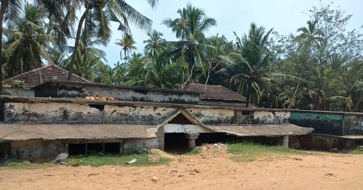 Local experience shapes how coastal communities understand and respond to climate change