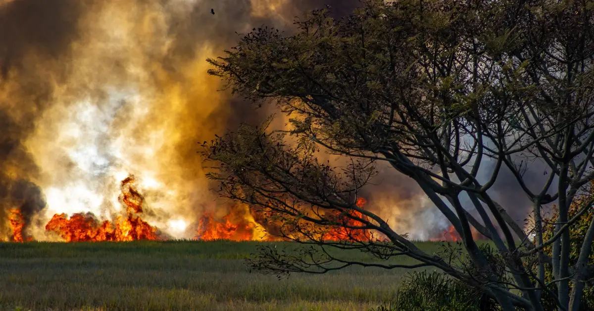 Africa's wildfire season is actually getting shorter, scientists think they know why