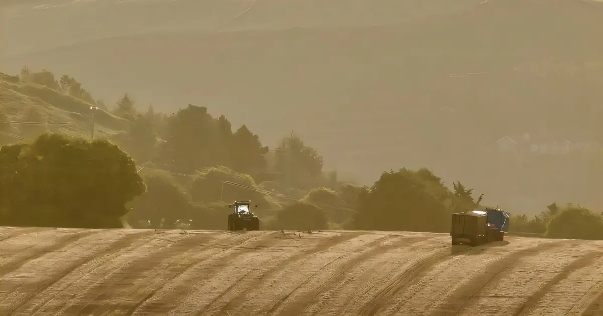 Global soil protections deliver measurable gains for farmland health