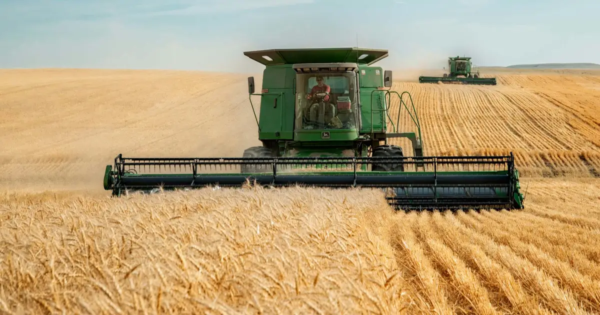 Agri-food, trade, national security leaders call for food security to become a national security priority