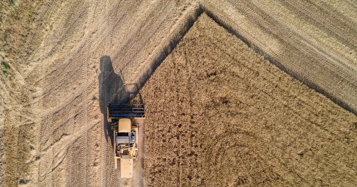 Economic and environmental benefits of regenerative agriculture vary widely across farms and regions