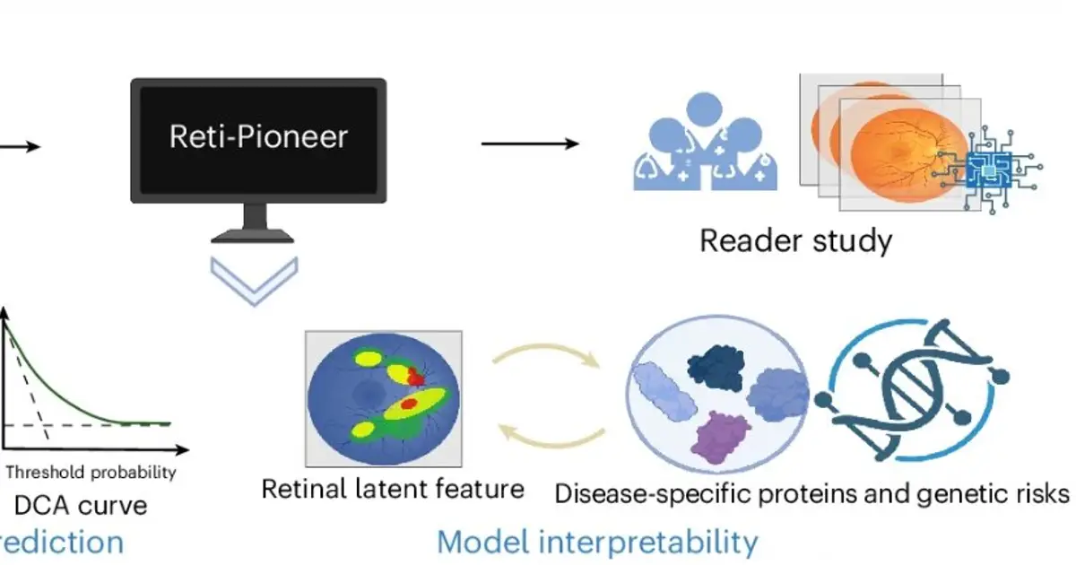 AI analyses of eye scans can detect diseases like diabetes, osteoporosis and thyroid disease in seconds