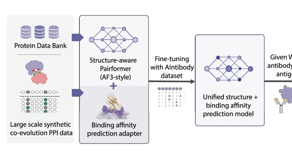 AI designs new antibodies that pass blinded laboratory tests