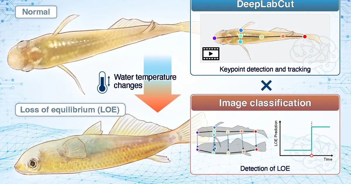 AI pinpoints when fish reach their thermal limit