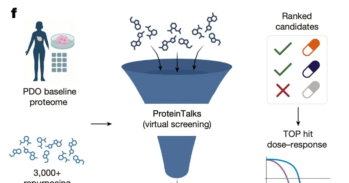AI virtual cell uses protein dynamics to predict personalized breast cancer treatments