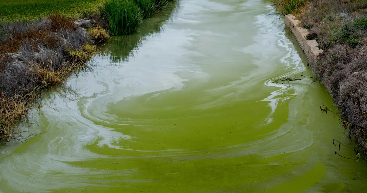 Iron complex breaks down stubborn pollutant using light-powered reaction
