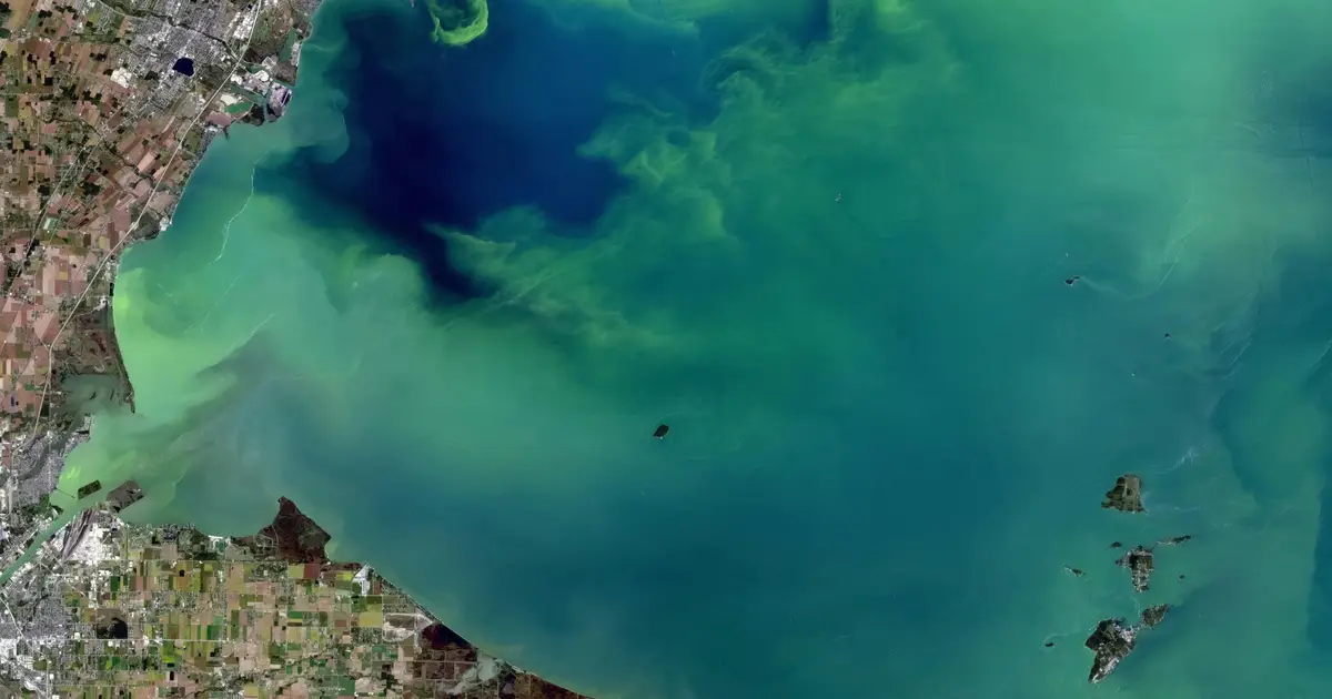 Hidden chemical pathway could keep phosphorus from fueling lake algal blooms