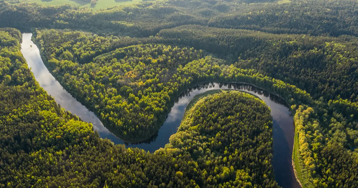World-first basic income trial boosts Indigenous livelihoods and Amazon rainforest protection