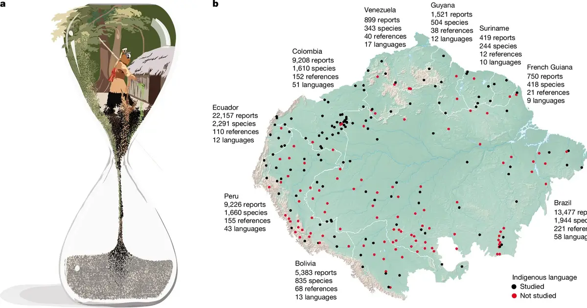 Indigenous peoples in the Amazon face massive cultural and ecological loss due to climate change