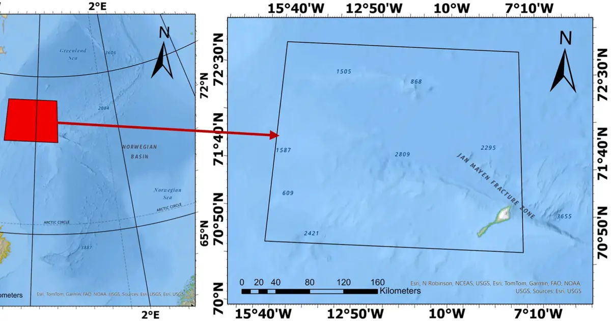 An anomalous return of the Odden ice tongue suggests unusual Arctic conditions