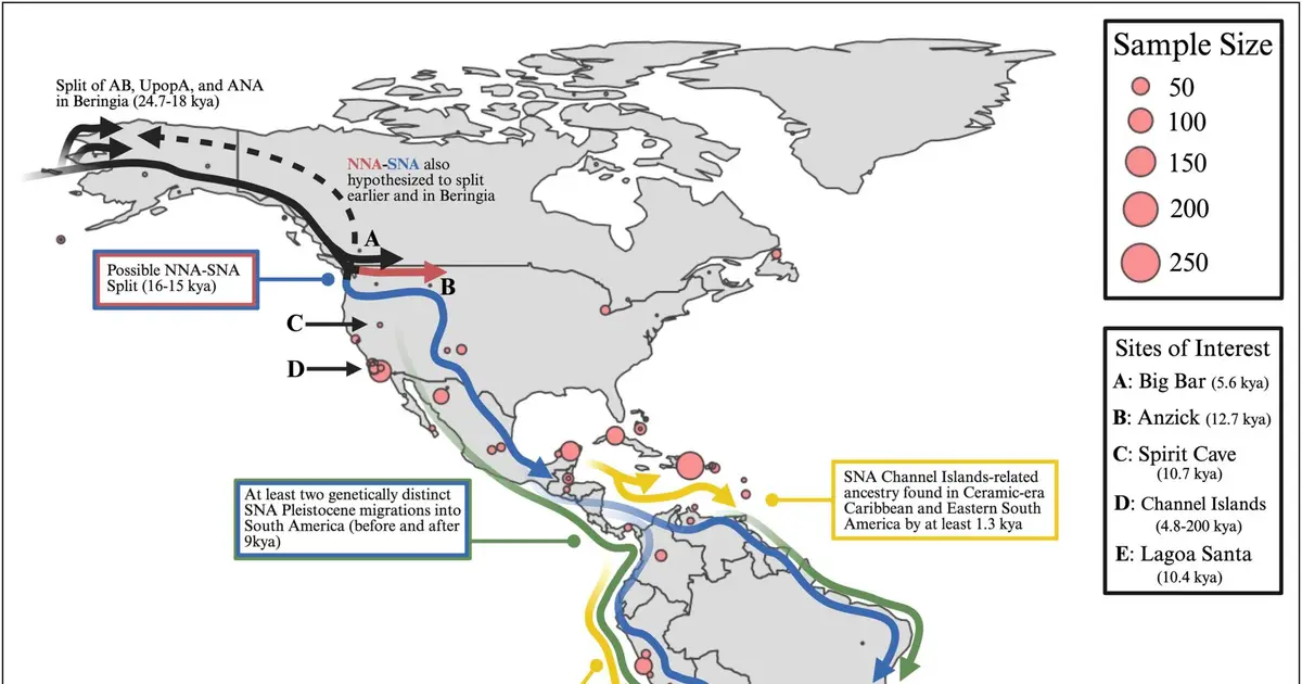 Ancient DNA evidence narrows down when people first reached the Americas