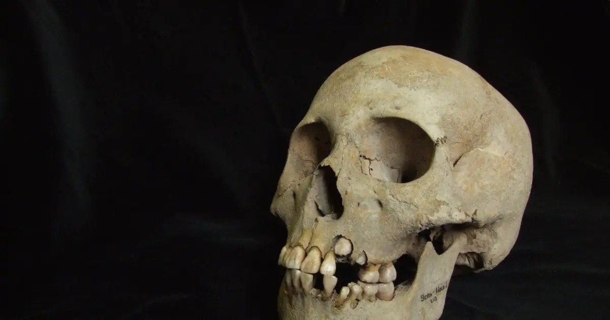 Ancient teeth from Siberia rewrite the plague's timeline, dating back to over 5,500 years ago