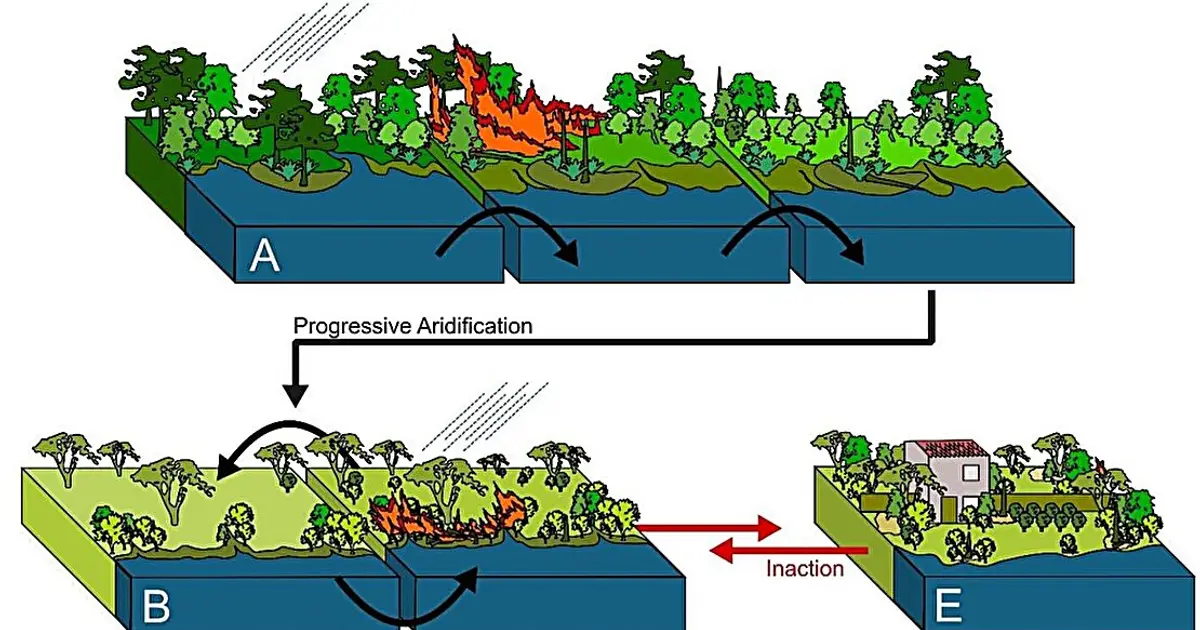 Ancient wildfire study offers warning for a warming world