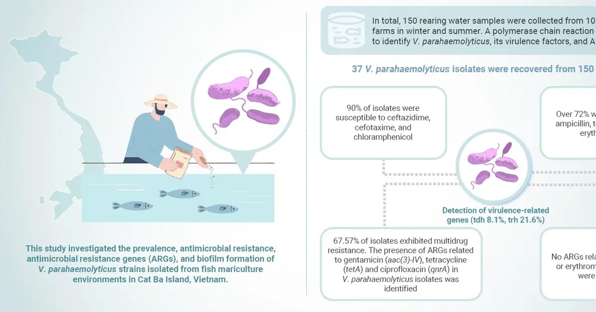 Antibiotic-resistant seafood bacterium found in Vietnam fish farming waters near popular island destination
