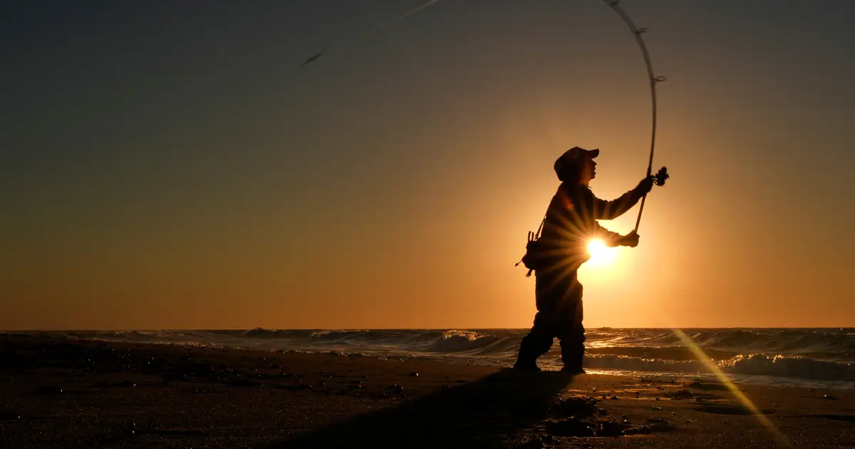 For many, striped bass fishing is a way of life. But the iconic species could face collapse