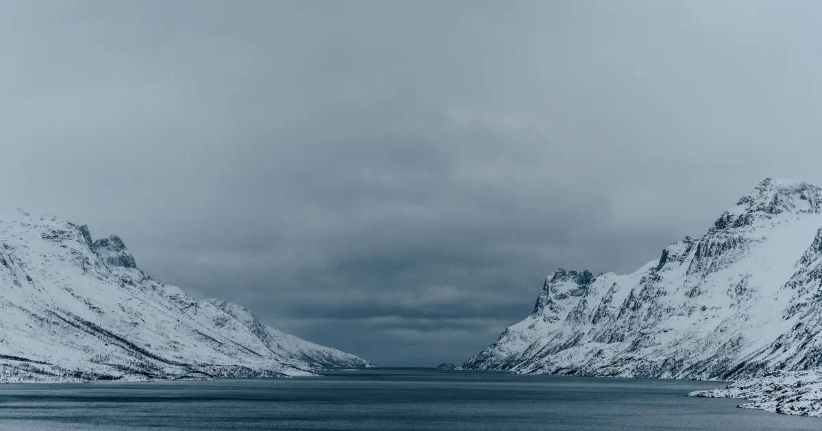 The giant viruses that orchestrate life in the polar regions