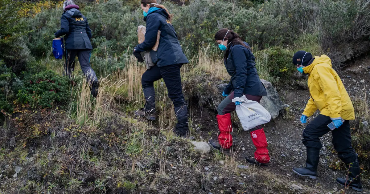 Argentina expands hantavirus probe, sending teams to trap and test rats in Mendoza