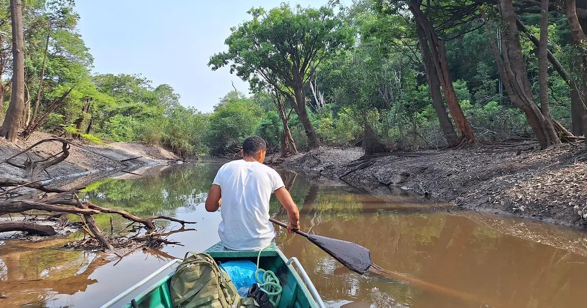 Unexpected Amazon hotspot: Central north faces fastest rise in extreme heat and water stress